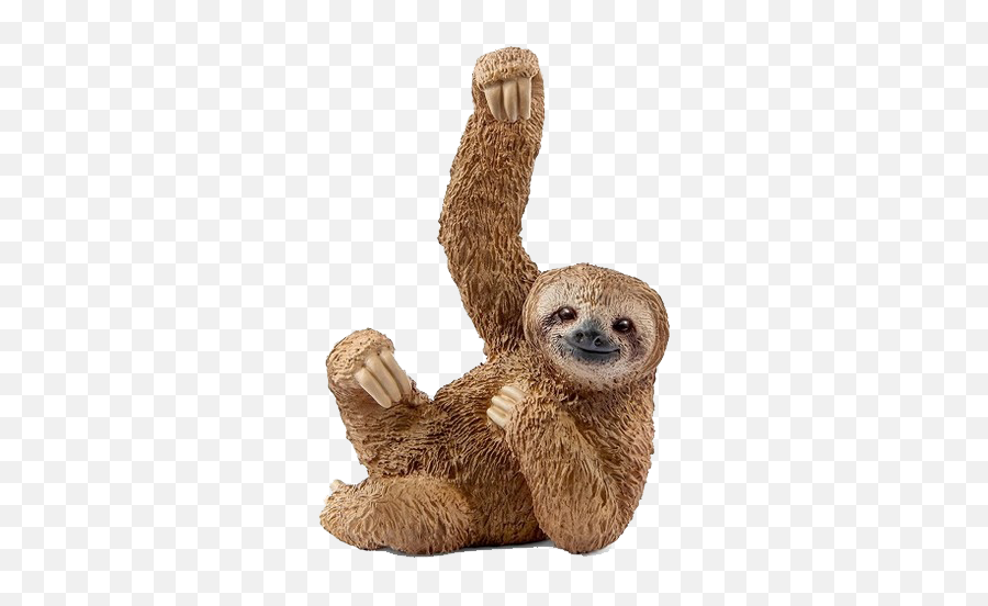 Sloth Png Background