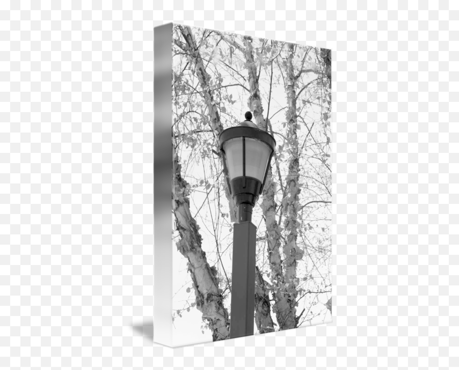 Lamp Post By Scott Coleson - Tree Png,Lamp Post Png