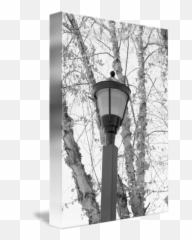 Lamp Post By Scott Coleson - Tree png