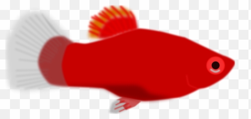 Clipart Fish Animation Transparent - Red Art png