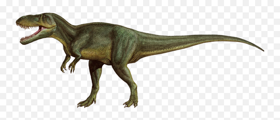 Dinosaur Png - Torvosaurus Dinosaur,Dinosaur Png
