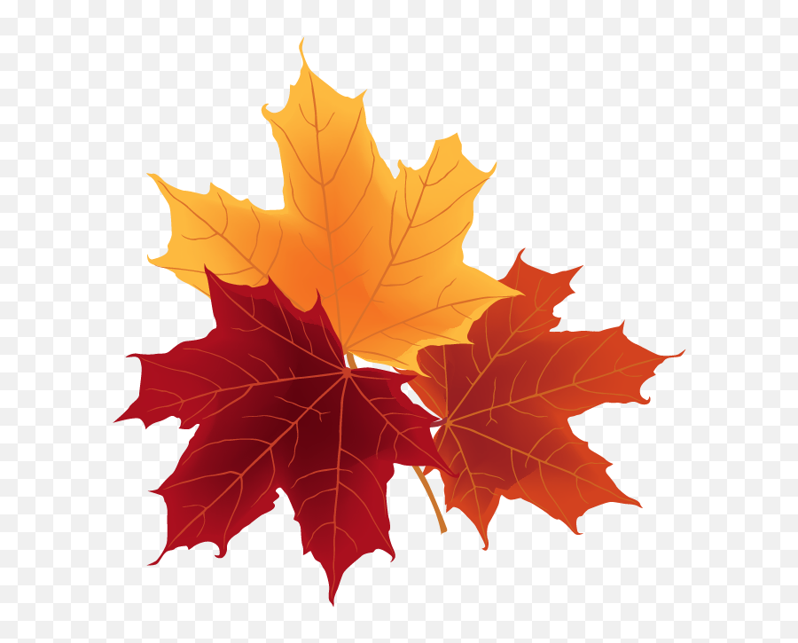 Free Png Autumn Leaves - Png Autumn Leaves,Autumn Leaves Png