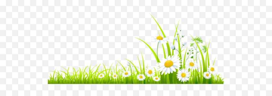 Spring Computer Grass Meadow For Easter - Spring Clipart Transparent Png,Easter Grass Png