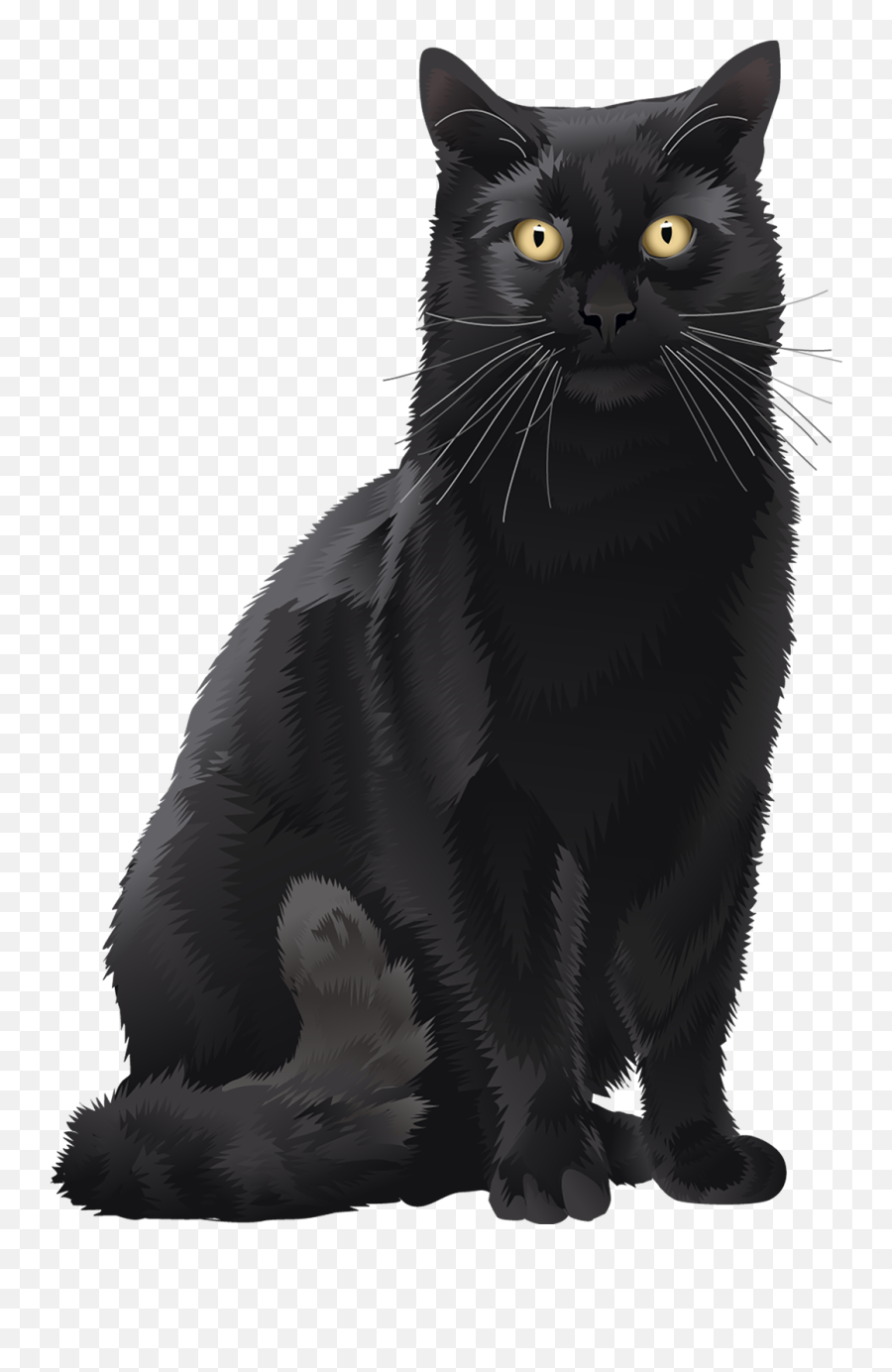 Black Cat Car Magnet - Spoiled Rotten Animal Den Black Cat Png,Black Cat Transparent