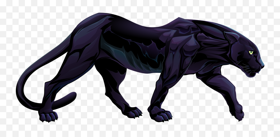 Panther Png Hd - Black Panther Animal Full Body,Panther Transparent