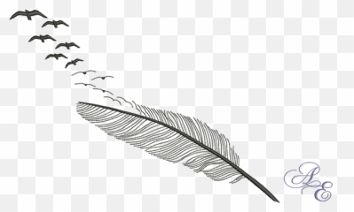 Silhouette Feather Breaking Apart Into - Flying Birds Png
