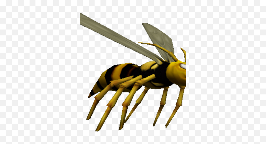 Impossible Creatures Game Wiki - Hornet Png,Hornet Png