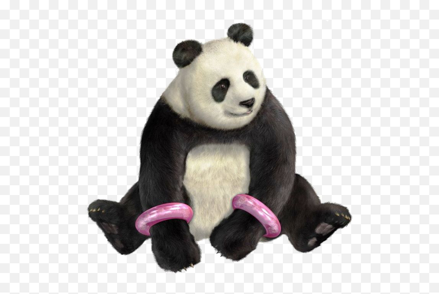 Tekken Panda Transparent Background - Tekken 5 Panda Png,Panda Transparent Background