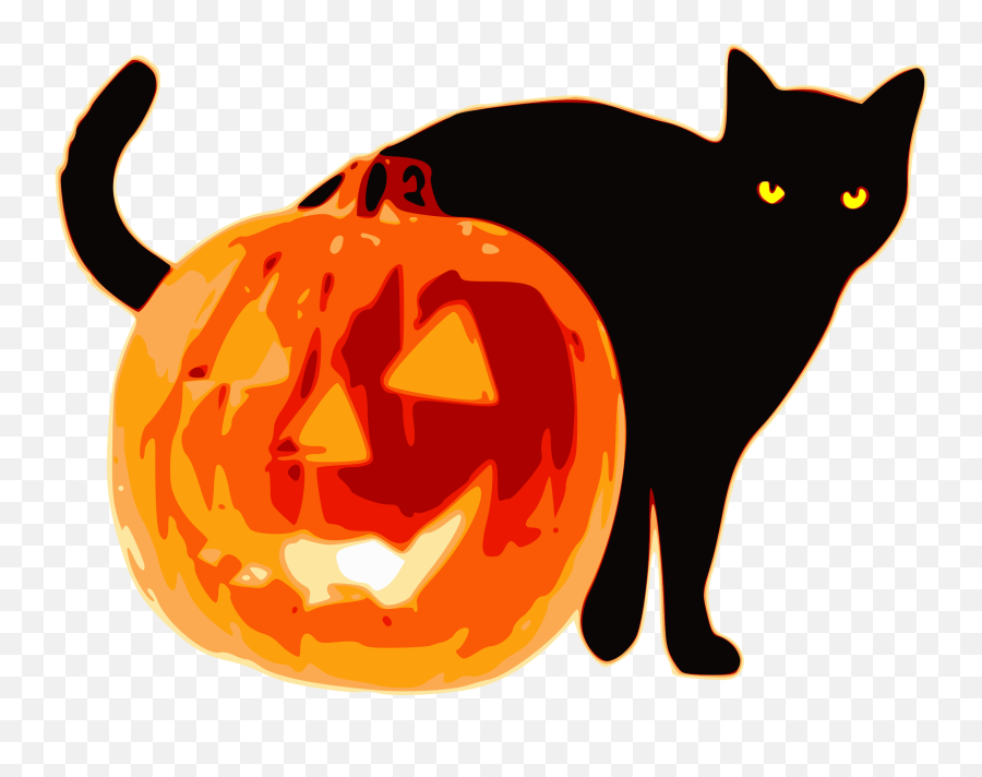 Jack O Lanterns Png Image Background - Black Cat And Pumpkin Clip Art,Jack O Lantern Png