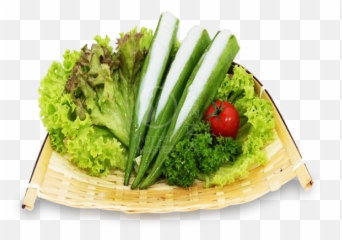 Download Romaine Lettuce Hd Png - Uokplrs Diet Food,Romaine Lettuce Png
