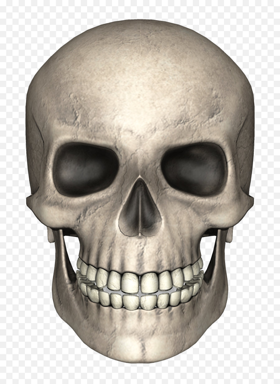 Skull Face Png Image - Skull Png,Skull Face Png