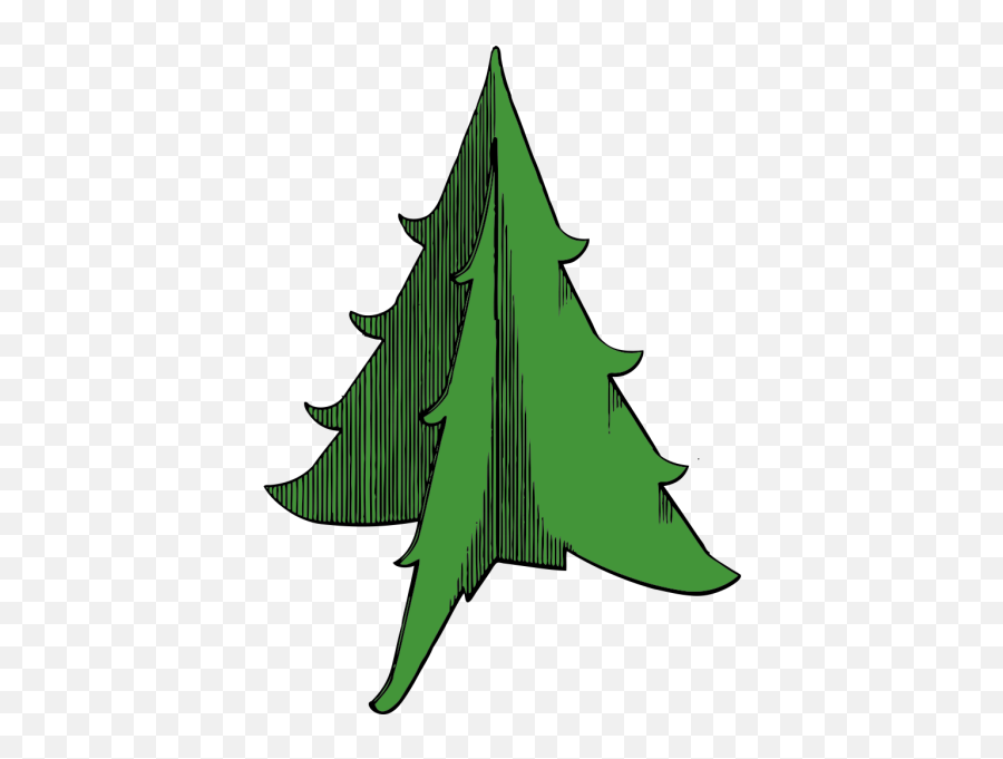 Download Hd Outline Tree Recreation Trees Christmas - Christmas Tree Png,Christmas Tree Outline Png