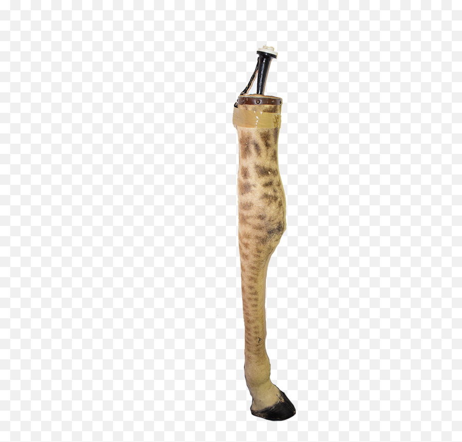 Giraffe Leg Lamp Gll12 - Animal Print Png,Leg Png