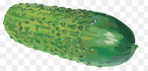 Pickle Clipart Transparent Background - Cucumber Water Color Png,Pickle Transparent