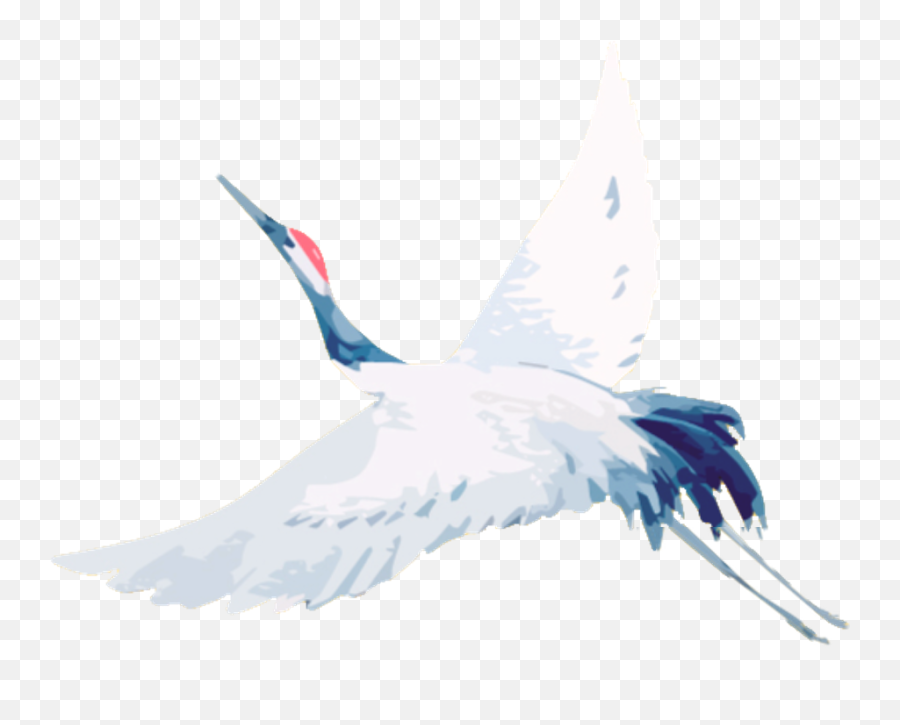 Crane I - Water Bird Ciconiiformes Transparent Cartoon Fictional Character Png,Crane Bird Png
