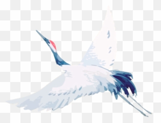 Crane I - Water Bird Ciconiiformes Transparent Cartoon Fictional Character Png,Crane Bird Png