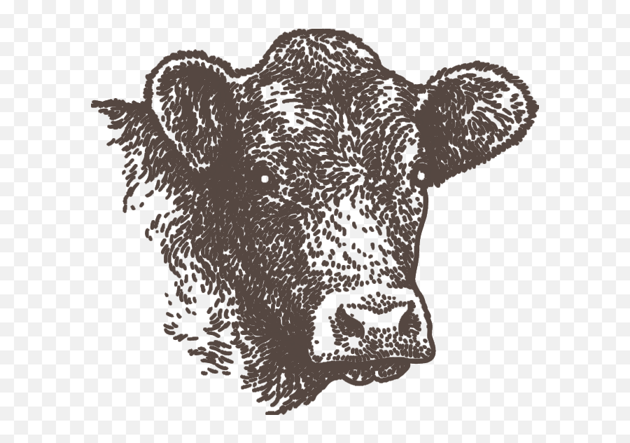 Cow Icon - Illustration Png Download Original Size Png Cow,Cow Icon