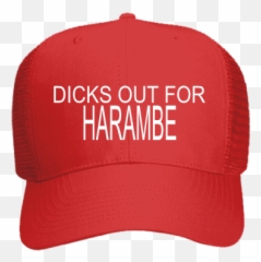 Download Hd Dicks Out For Harambe - Dicks Out For Harambe Oosterhuis The Look Of Love Png,Harambe Transparent