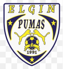 Home Elgin Pumas Soccer Club - Elgin Pumas Png,Puma Logo Png