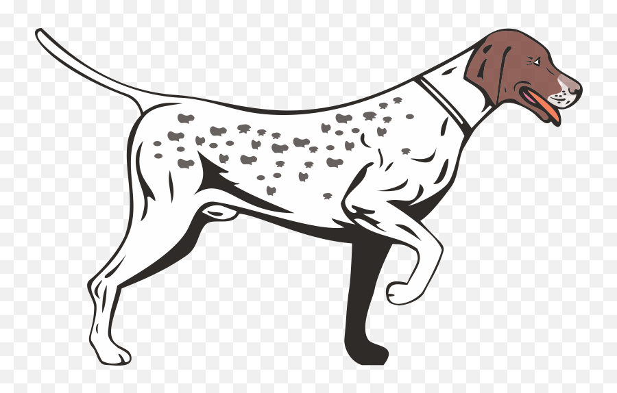 German Shorthaired Pointer Longhaired Vizsla - German Shorthair Pointer Clip Art Png,German Icon