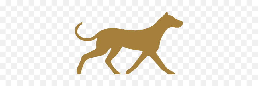 Strut Animal Mobility Specialists - Veterinarian In San Animal Figure Png,Golden Cat Icon
