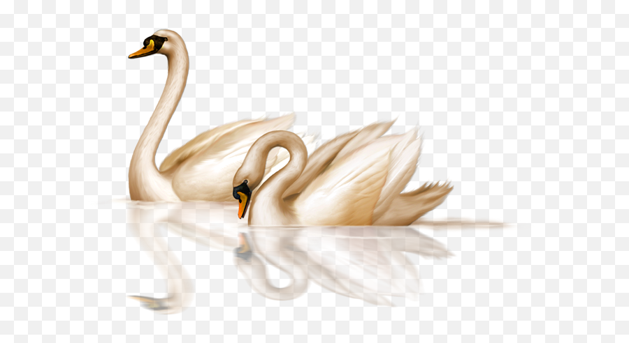 Swan Clipart Png - Swan Png,Swan Png