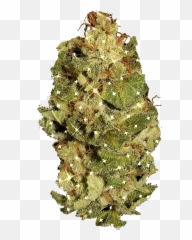 Smoke Weed Everyday Marijuana Gif Wifflegif - Oregon Pine png