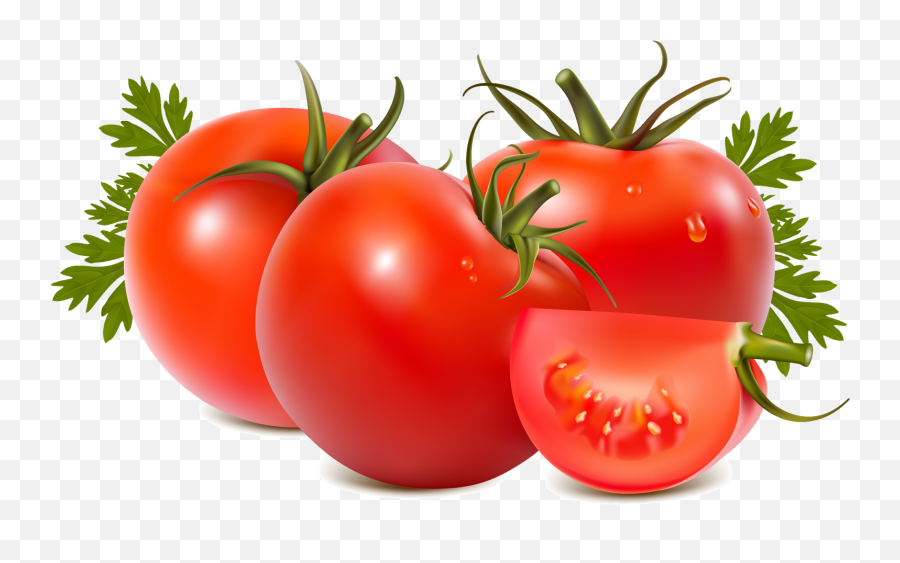 Png Transparent Tomato Clipart - Tomato Png,Tomato Clipart Png