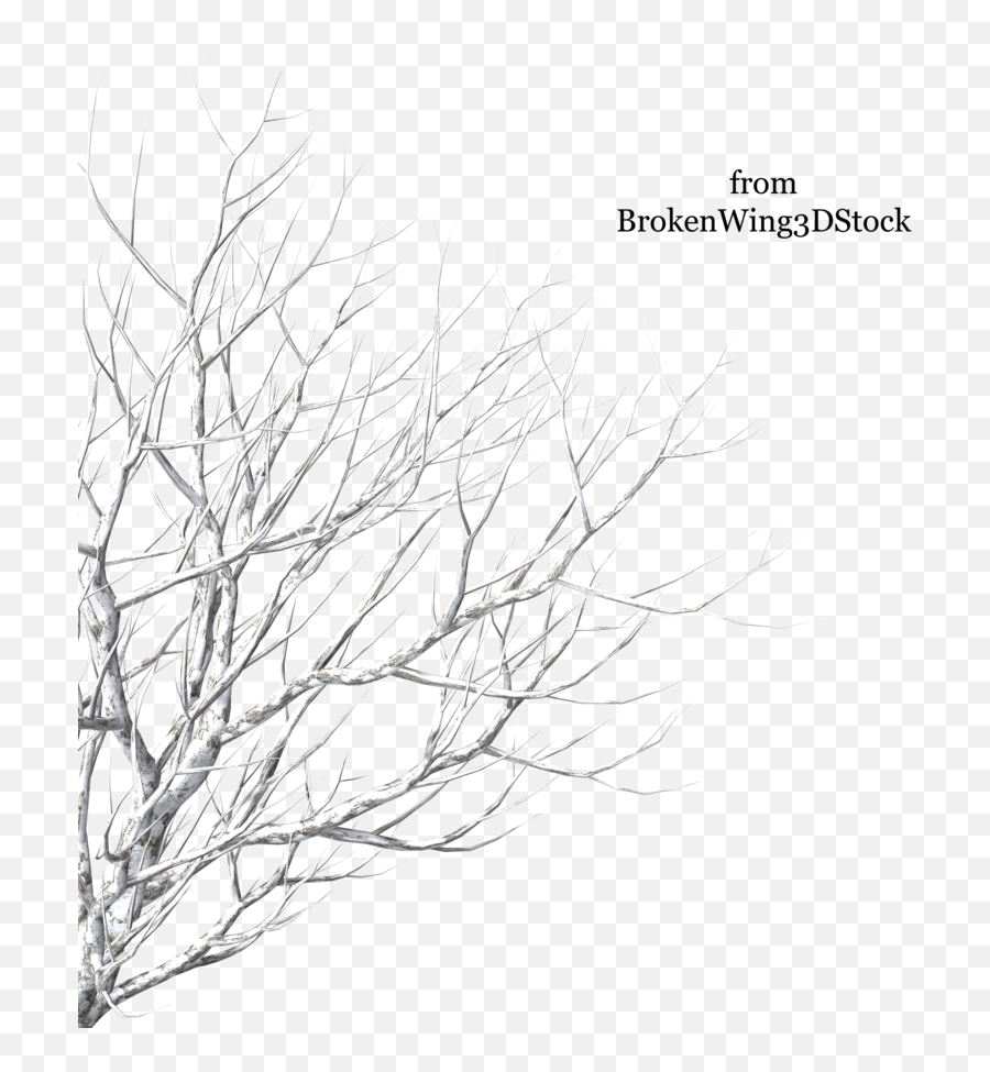 Tree In Winter Png 3 Image - Trees With Snow Pngs,Snow Trees Png