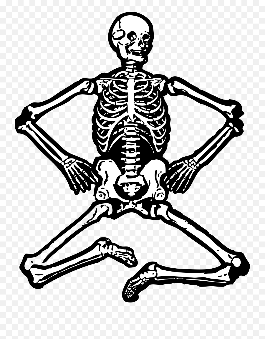 Skeleton Png Skeletons