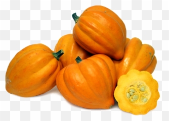 Download Free Png Acorn Squash File - Free Acorn Squash Png Transparent,Acorn Transparent Background