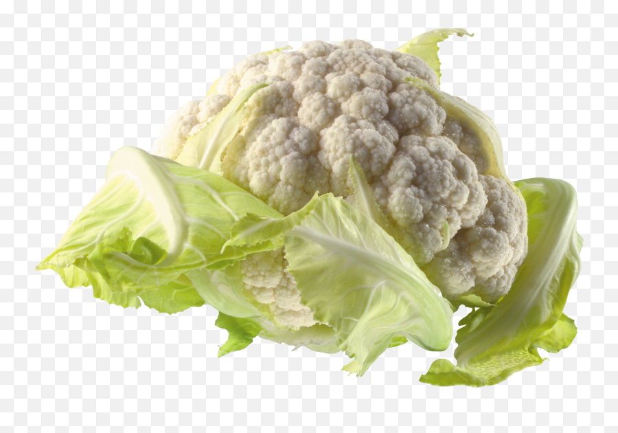 Cabbage Icon - Cavolfiore Png,Cabbage Transparent