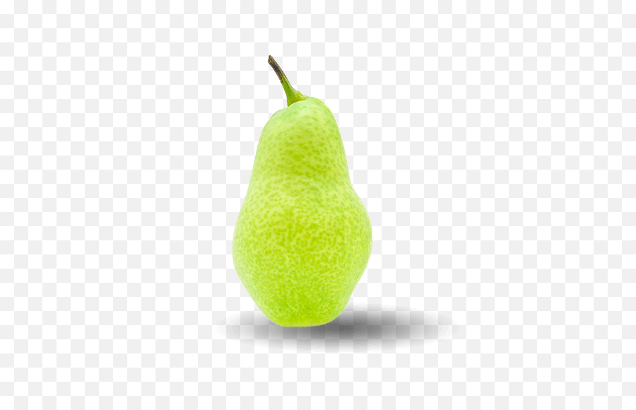 Single Pear Png High