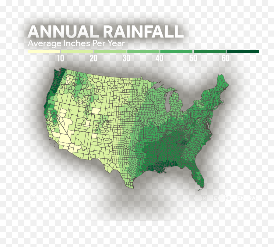 Trees And Annual Rainfall Climate Central - Atlas Png,Trees Plan Png