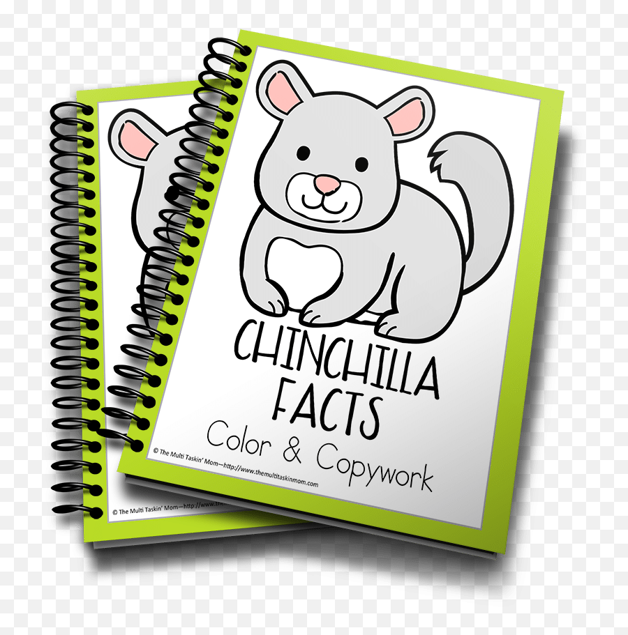Chinchilla Facts Color U0026 Copywork - The Multi Taskinu0027 Mom Printable Sloth Facts Png,Chinchilla Png
