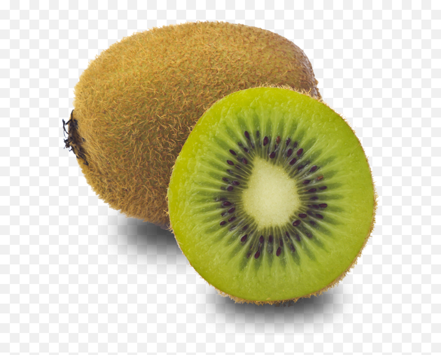 Kiwi Hd Png Transparent Hdpng Images Pluspng - Kiwi,Kiwi Transparent