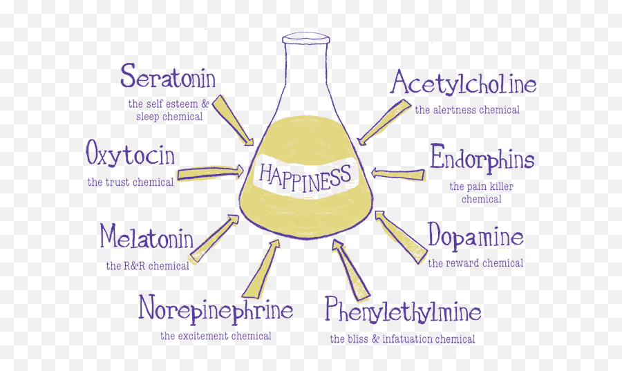 Chemicals Png - Happinesschemicals Chemicals For Biochemical Happiness,Happiness Png