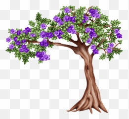 Bougainvillea Drawing Leaf Picture 1073659 - Virágzó Fa Png,Bougainvillea Png