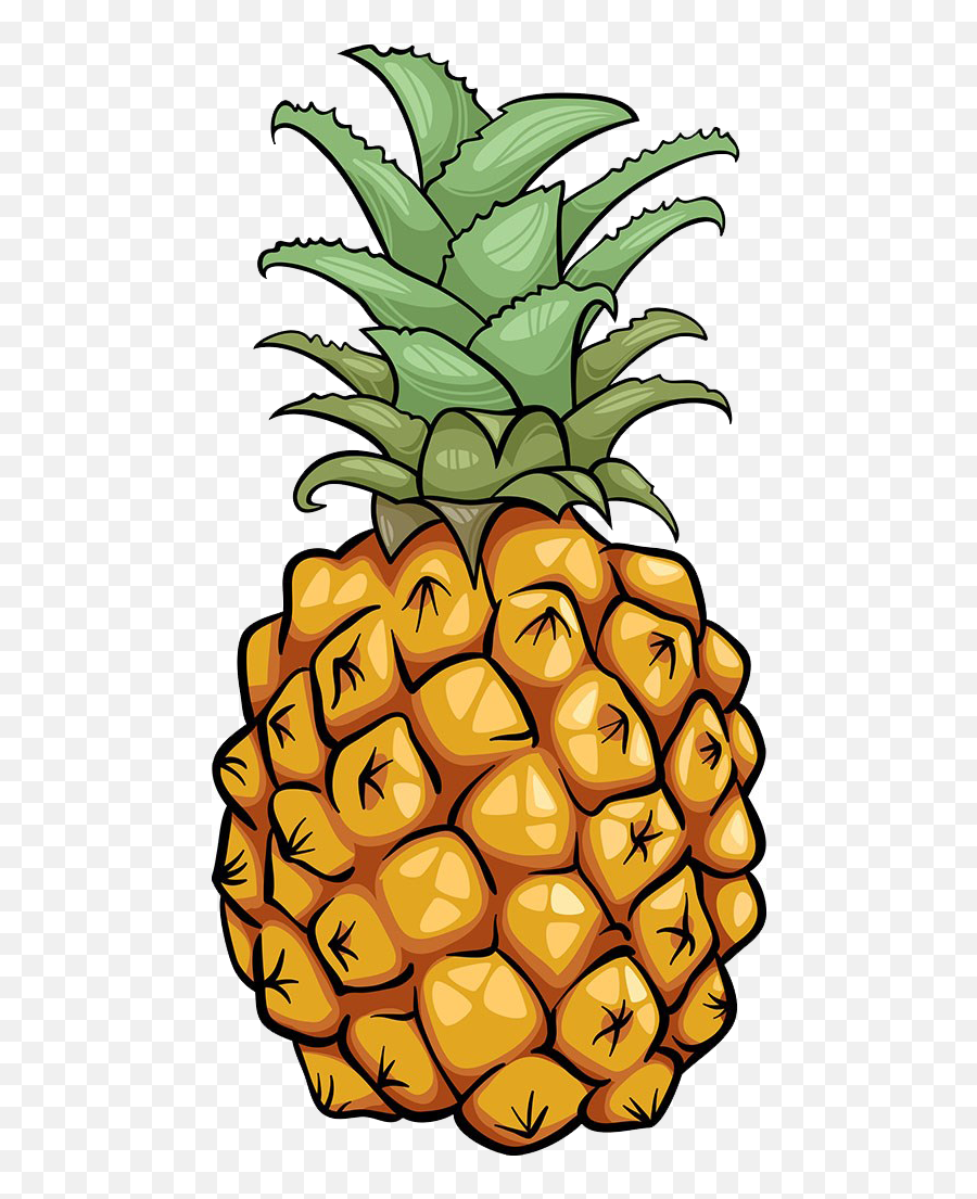 Pineapple Fruit Icon - Cartoon Transparent Pineapple Png,Pineapple Cartoon Png