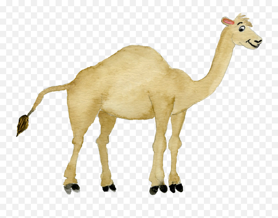 Camel Clipart Png - Clip Art,Camel Transparent Background