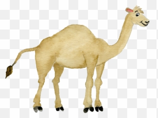 Camel Clipart Png - Art