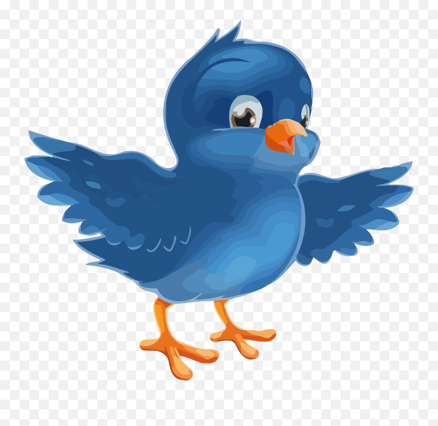 Blue Teal Bird Clipart Png U2013 Clipartlycom - Blue Bird Image Clipart,Bird Clipart Png