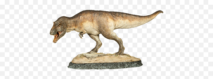 Dinosauria T - Rex The Tyrant King Statue By Sideshow Collec Png,Tyrannosaurus Png