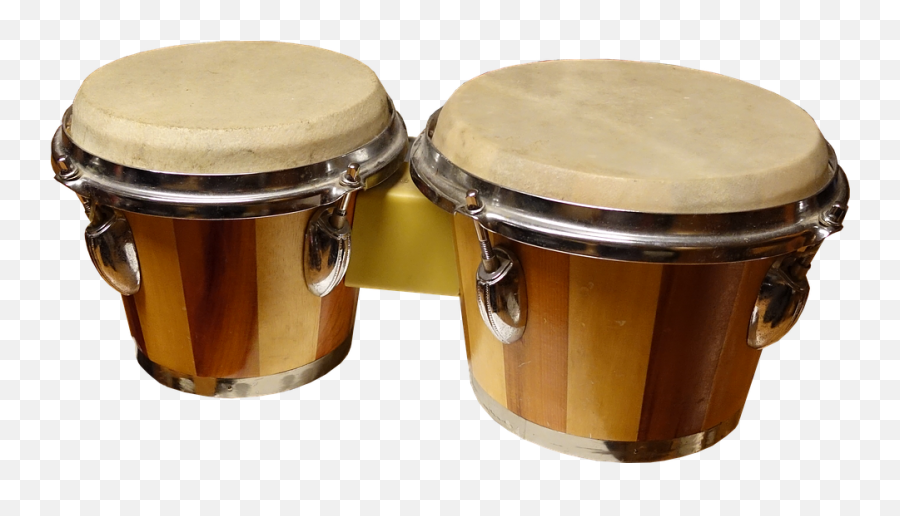 Bongo Drum Png Download Image All - Bongo Drum Transparent,Drum Set Transparent Background