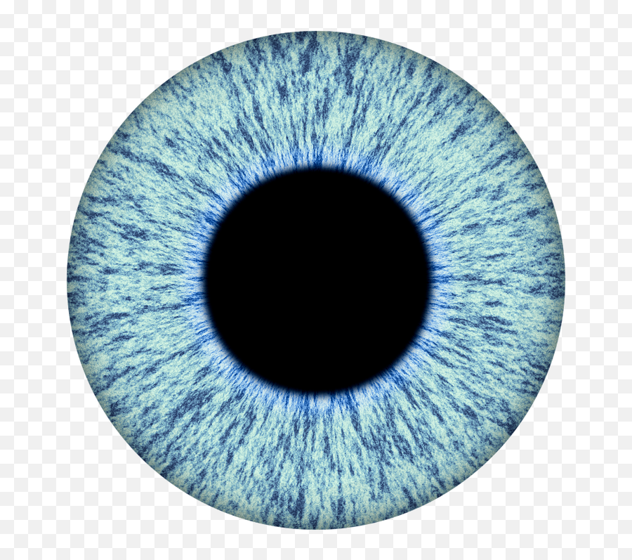 Eye Iris - Transparent Eye Iris Png,Iris Png