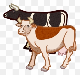 Livestock Pack Animal Horse Like Mammal - Two Cows Clipart png