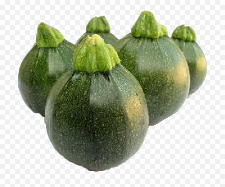 Small Green Pumpkin Png Real - Squash Summer Chappan Kaddu,Pumpkin Png Transparent