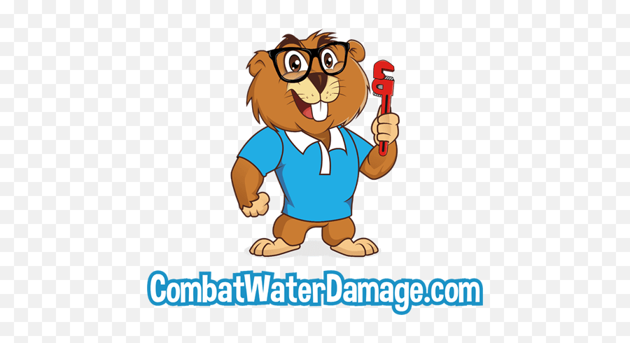 Home Combatwaterdamagecom - Happy Png,Damage Computers Icon