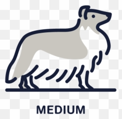 Barking Buddha Pet Products - Dog png