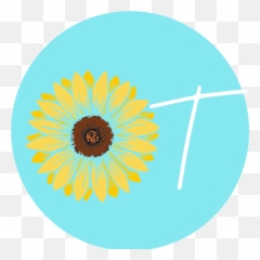 Blog U2014 Emily Marie Ot Llc Png